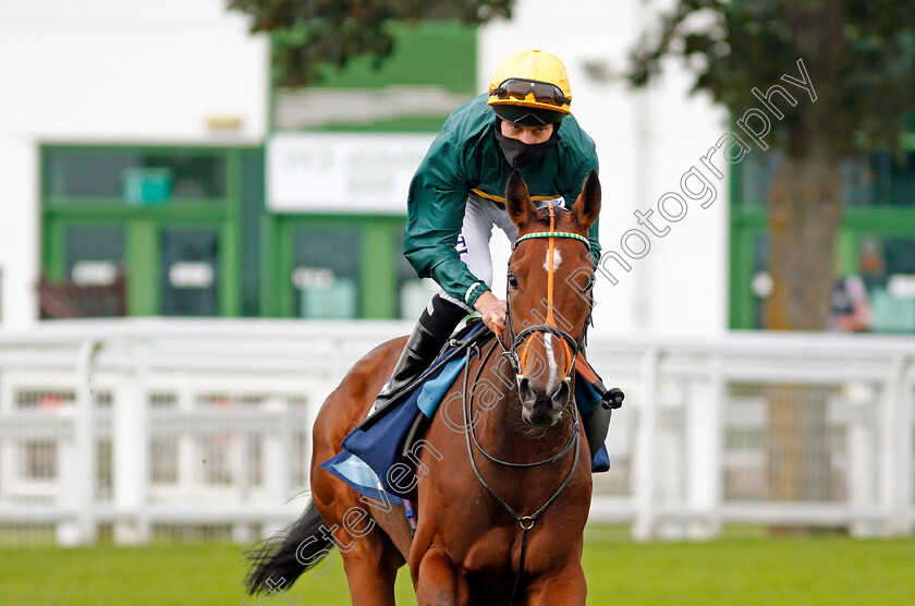 Brassica-0001 
 BRASSICA (Luke Morris)
Yarmouth 16 Sep 2020 - Pic Steven Cargill / Racingfotos.com