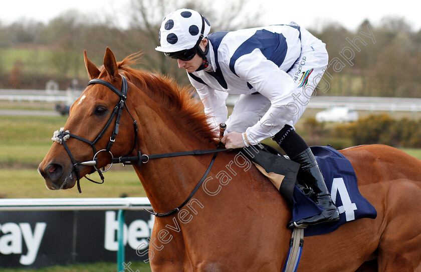 Insurgence-0001 
 INSURGENCE (Daniel Muscutt)
Lingfield 2 Mar 2019 - Pic Steven Cargill / Racingfotos.com