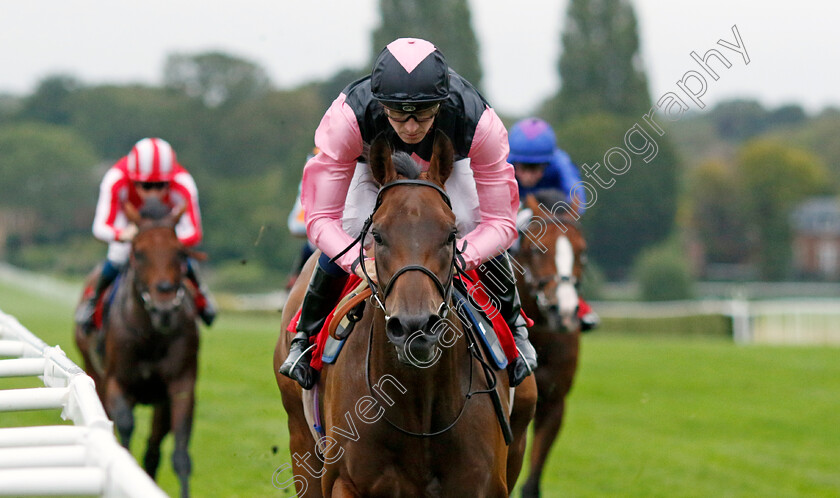 Mr-Monaco-0001 
 MR MONACO (Hector Crouch) wins The My Pension Expert Handicap
Sandown 8 Aug 2024 - Pic Steven Cargill / Racingfotos.com