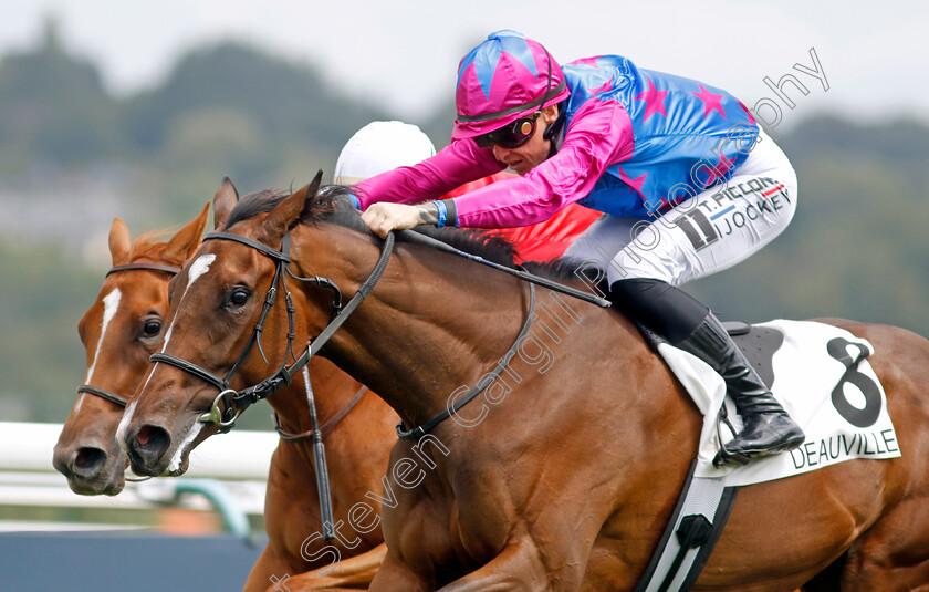 Dare-To-Dream-0001 
 DARE TO DREAM (T Piccone) wins The Prix de la Reboursiere
Deauville 12 Aug 2023 - Pic Steven Cargill / Racingfotos.com