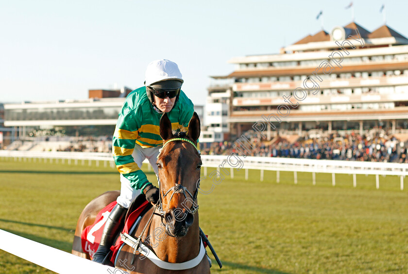 Champ-0001 
 CHAMP (Barry Geraghty) winner of The Ladbrokes Novices Chase
Newbury 29 Nov 2019 - Pic Steven Cargill / Racingfotos.com