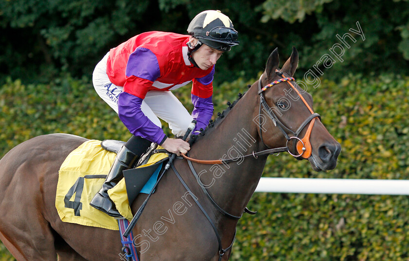 Gordons-Aura 
 GORDONS AURA (Luke Morris)
Kempton 6 Oct 2021 - Pic Steven Cargill / Racingfotos.com