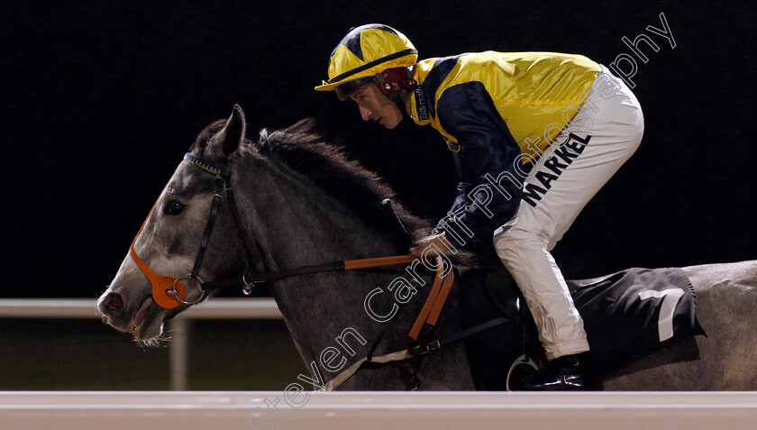 Must-Be-An-Angel-0001 
 MUST BE AN ANGEL (Tom Marquand)
Chelmsford 25 Nov 2019 - Pic Steven Cargill / Racingfotos.com