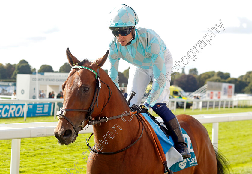 Binadham-0001 
 BINADHAM (Jim Crowley)
York 24 Aug 2024 - Pic Steven Cargill / Racingfotos.com