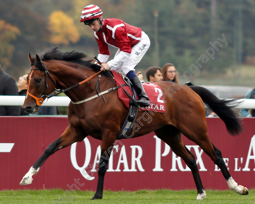 Salouen-0002 
 SALOUEN (Oisin Murphy)
Longchamp 7 Oct 2018 - Pic Steven Cargill / Racingfotos.com