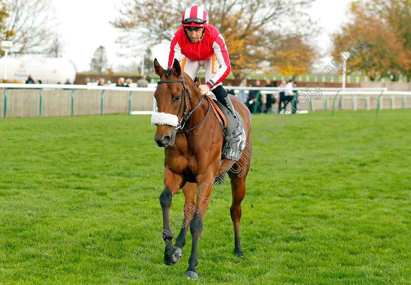 Sisyphus-Strength-0001 
 SISYPHUS STRENGTH (Neil Callan)
Newmarket 29 Oct 2022 - Pic Steven Cargill / Racingfotos.com