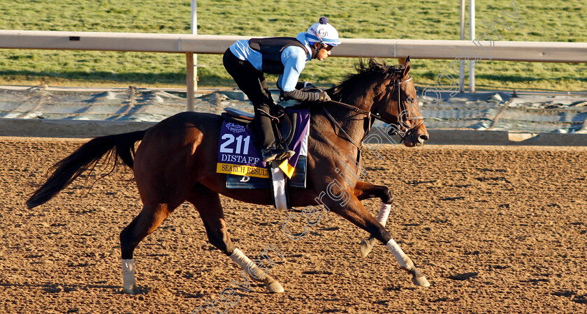 Search-Results-0002 
 SEARCH RESULTS training for The Breeders' Cup Distaff
Santa Anita USA, 31 October 2023 - Pic Steven Cargill / Racingfotos.com