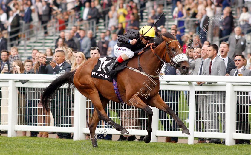 Fille-De-Reve-0002 
 FILLE DE REVE (Andrea Atzeni) wins The Fever-Tree Handicap
Ascot 8 Sep 2018 - Pic Steven Cargill / Racingfotos.com