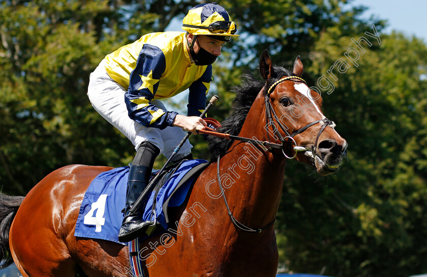 Exceedingly-Regal-0001 
 EXCEEDINGLY REGAL (Callum Shepherd)
Salisbury 8 Jun 2021 - Pic Steven Cargill / Racingfotos.com