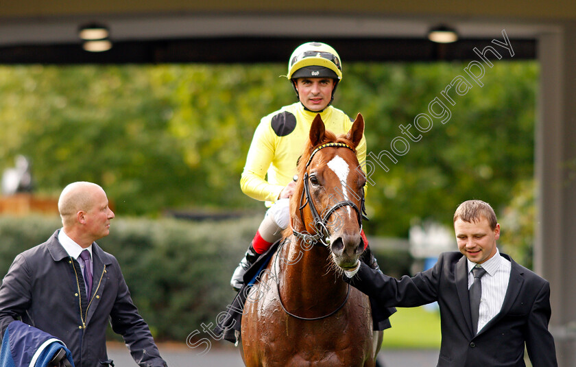 Cape-Byron-0006 
 CAPE BYRON (Andrea Atzeni) after The Leo Bancroft Signature Hair Care Classified Stakes Ascot 8 Sep 2017 - Pic Steven Cargill / Racingfotos.com