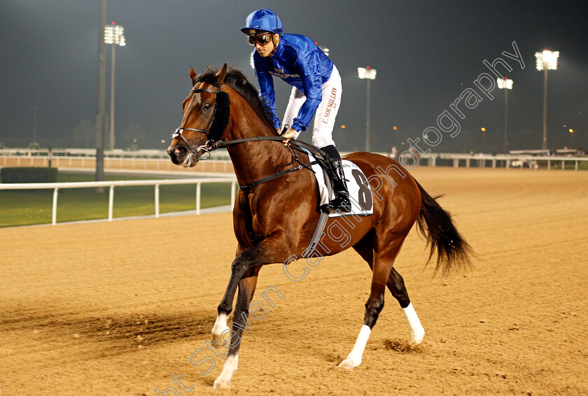 Thunder-Snow-0002 
 THUNDER SNOW (Christophe Soumillon) before winning The Al Maktoum Challenge Round 2 Meydan 8 Feb 2018 - Pic Steven Cargill / Racingfotos.com