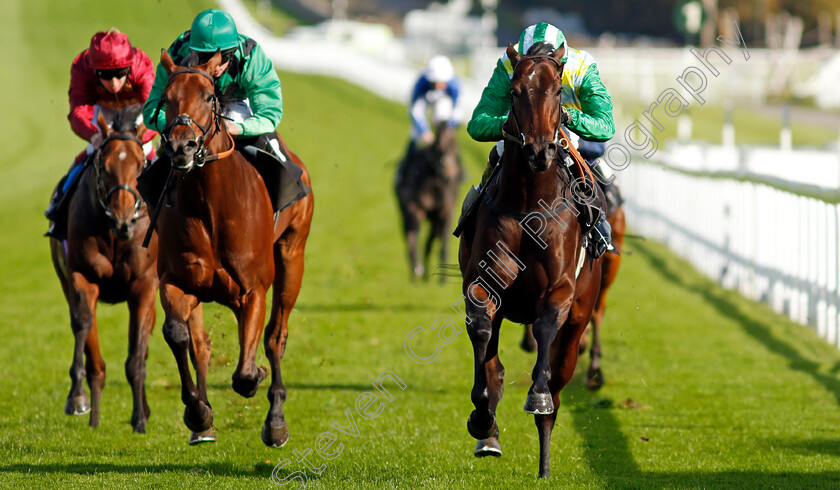 Caribou-0003 
 CARIBOU (right, Charles Bishop) beats MARKS BEAR (left) in The Download The tote Placepot App Irish EBF Novice Auction Stakes
Goodwood 11 Oct 2020 - Pic Steven Cargill / Racingfotos.com