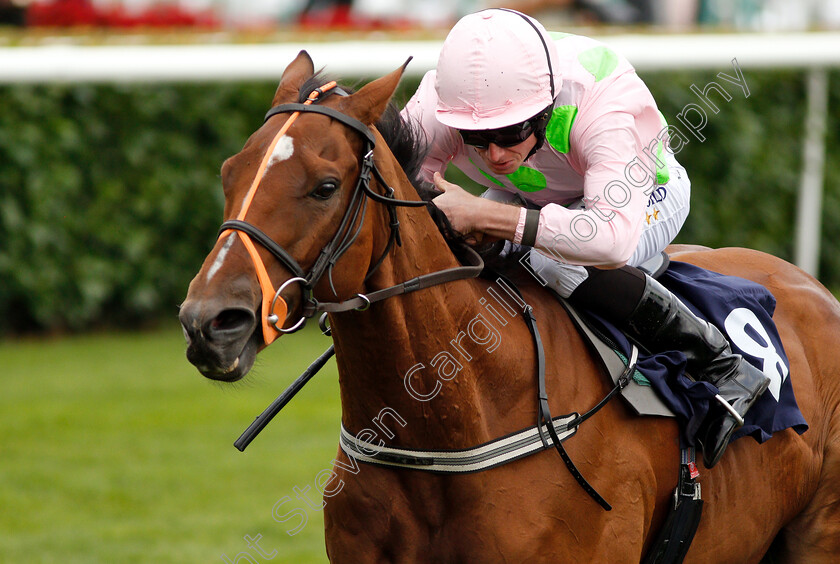 Thomas-Hobson-0007 
 THOMAS HOBSON (Ryan Moore) wins The Doncaster Cup Stakes
Doncaster 14 Sep 2018 - Pic Steven Cargill / Racingfotos.com