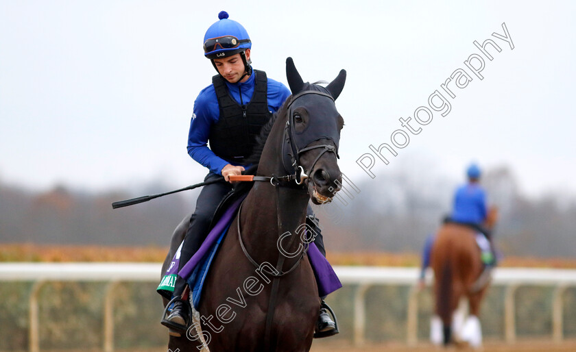 Rebel s-Romance-0001 
 REBEL'S ROMANCE training for the Breeders' Cup Turf
Keeneland USA 1 Nov 2022 - Pic Steven Cargill / Racingfotos.com