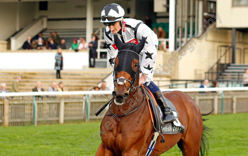 Fariba-0001 
 FARIBA (Daniel Muscutt)
Newmarket 29 Oct 2022 - Pic Steven Cargill / Racingfotos.com