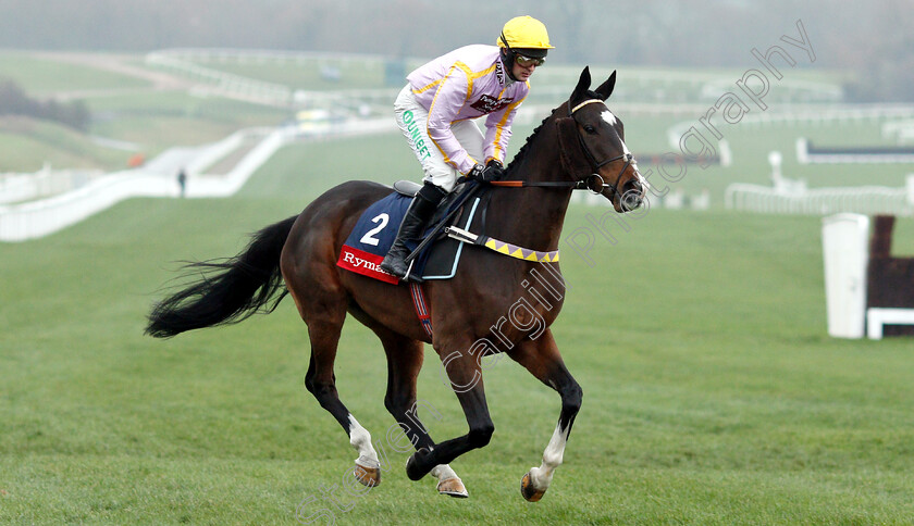 Jenkins-0001 
 JENKINS (Nico de Boinville)
Cheltenham 15 Dec 2018 - Pic Steven Cargill / Racingfotos.com