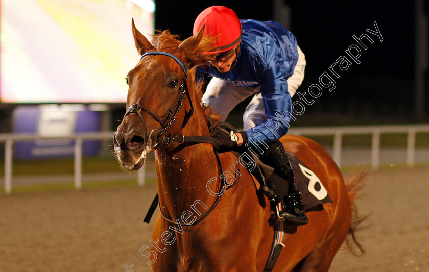 Royal-Mews-0005 
 ROYAL MEWS (James Doyle) wins The tote.co.uk Now Never Beaten By SP Maiden Stakes
Chelmsford 8 Oct 2020 - Pic Steven Cargill / Racingfotos.com