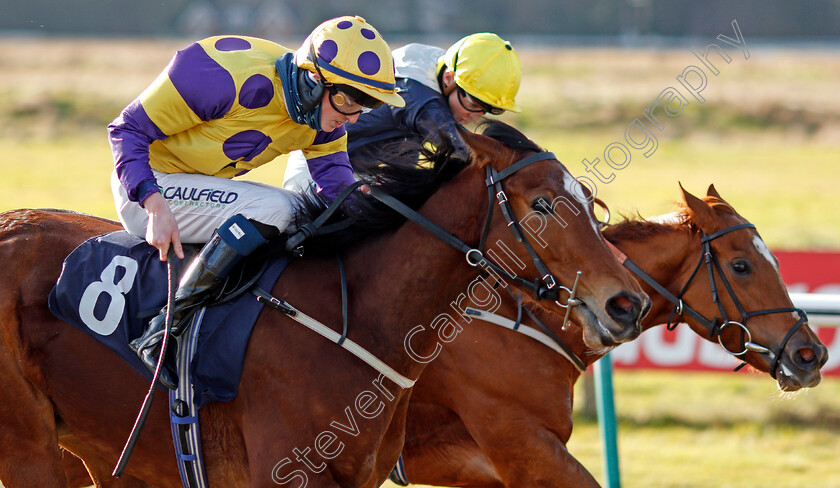 Banoffee-0005 
 BANOFFEE (Darragh Keenan) wins The Play Ladbrokes 5-A-Side On Football Claiming Stakes
Lingfield 29 Jan 2021 - Pic Steven Cargill / Racingfotos.com