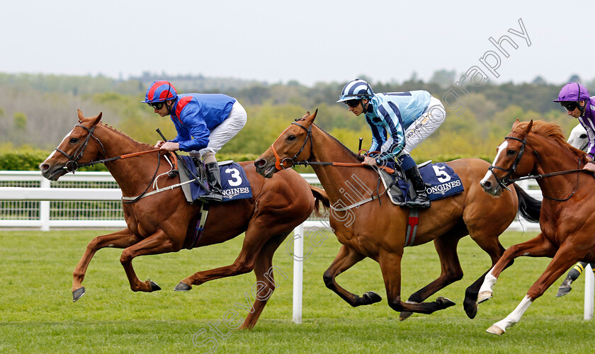 Nayef-Road-and-Tashkhan-0001 
 NAYEF ROAD (Joe Fanning) leads TASHKHAN (centre, Ben Robinson)
Ascot 27 Apr 2022 - Pic Steven Cargill / Racingfotos.com