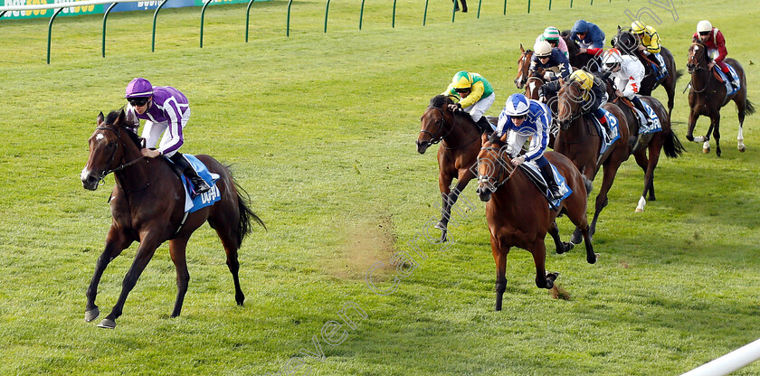 Sergei-Prokofiev-0005 
 SERGEI PROKOFIEV (Donnacha O'Brien) beats WELL DONE FOX (right) in The Newmarket Academy Godolphin Beacon Project Cornwallis Stakes
Newmarket 12 Oct 2018 - Pic Steven Cargill / Racingfotos.com