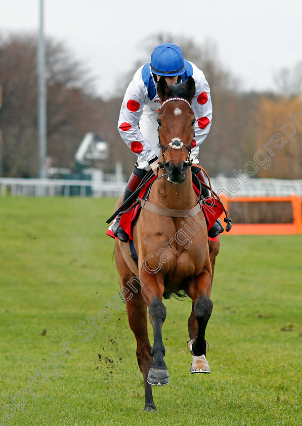 Tommy-Silver-0001 
 TOMMY SILVER (Sam Twiston-Davies) Kempton 27 Dec 2017 - Pic Steven Cargill / Racingfotos.com