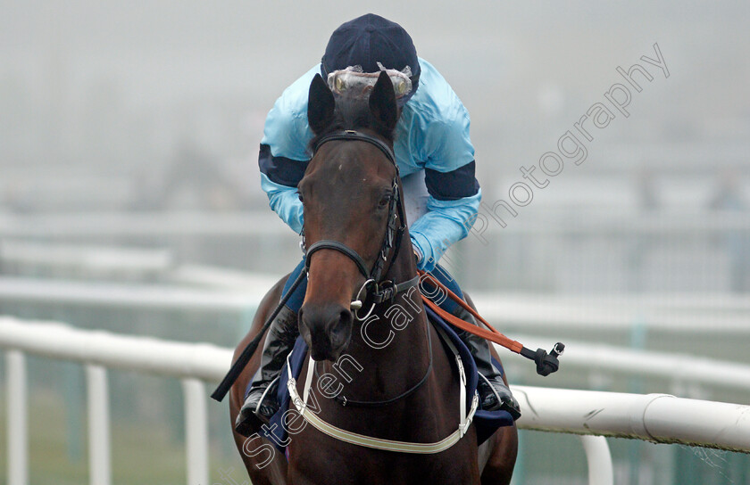 Immaculate-0002 
 IMMACULATE (William Buick)
Doncaster 7 Nov 2020 - Pic Steven Cargill / Racingfotos.com