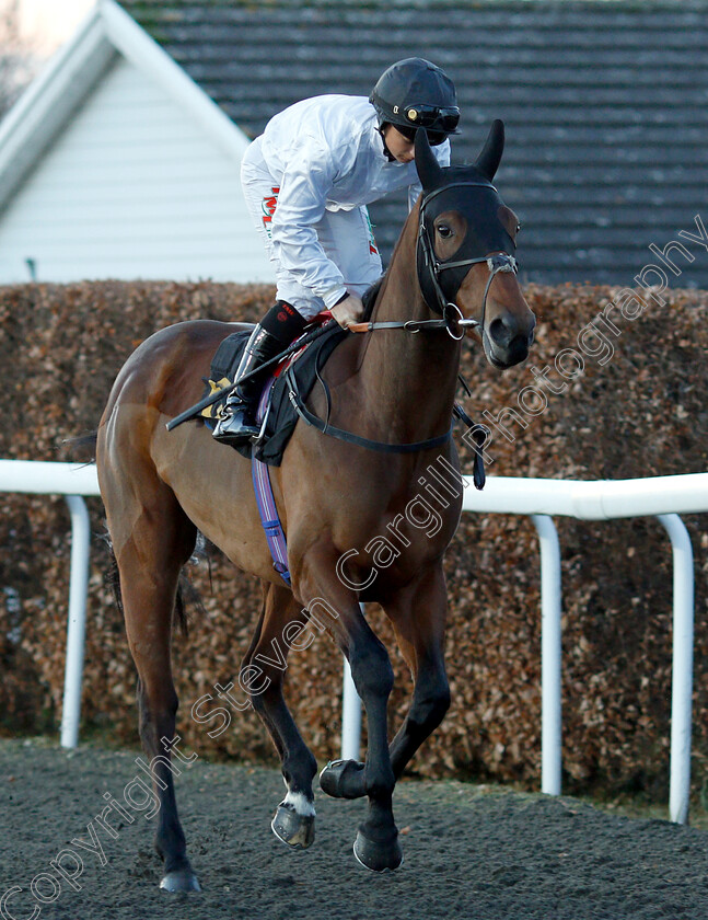 Ricochet-0001 
 RICOCHET (Nicola Currie)
Kempton 12 Dec 2018 - Pic Steven Cargill / Racingfotos.com