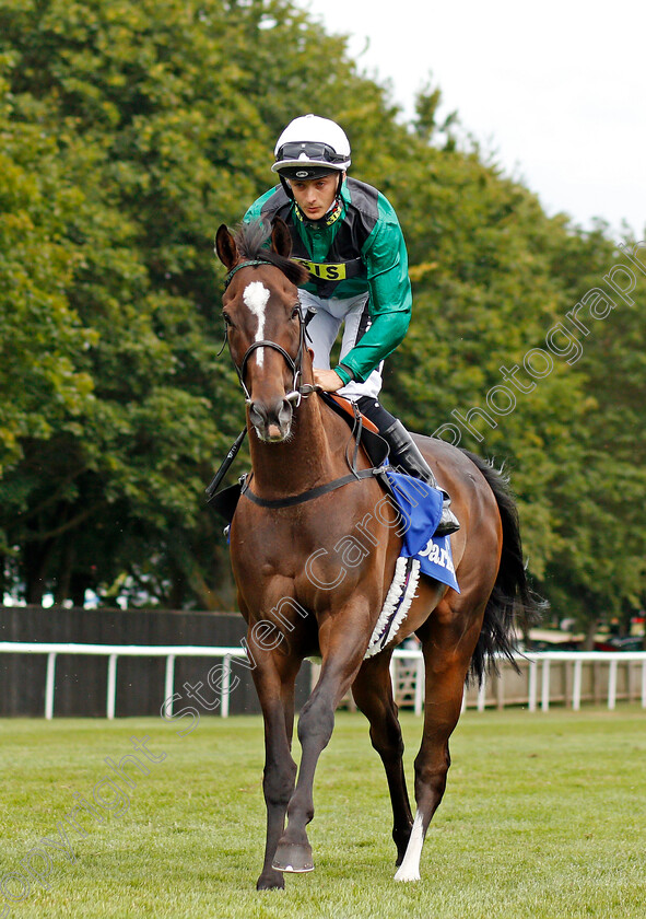 Limato-0001 
 LIMATO (Harry Bentley)
Newmarket 13 Jul 2019 - Pic Steven Cargill / Racingfotos.com