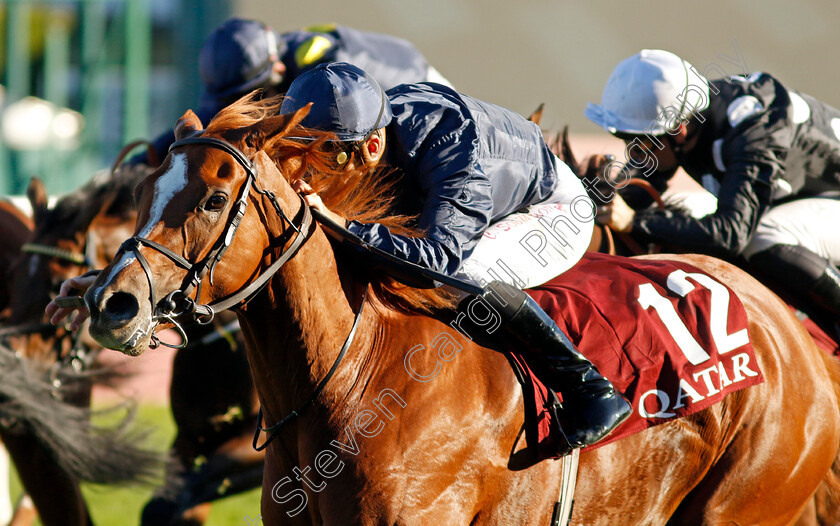 Grateful-0003 
 GRATEFUL (Christophe Soumillon) wins The Qatar Prix de Royallieu 
Longchamp 5 Oct 2024 - Pic Steven Cargill / Racingfotos.com