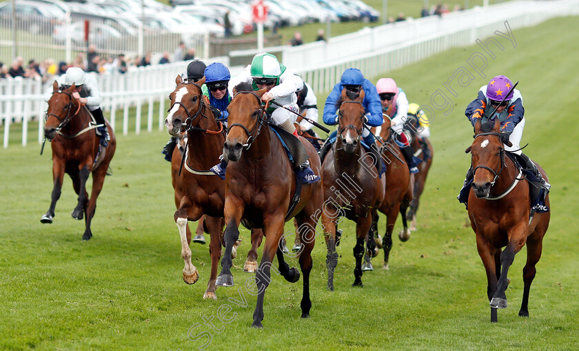 Mountain-Angel-0001 
 MOUNTAIN ANGEL (left, Andrea Atzeni) beats AASHEQ (right) in The Investec City And Suburban Handicap
Epsom 24 Apr 2019 - Pic Steven Cargill / Racingfotos.com