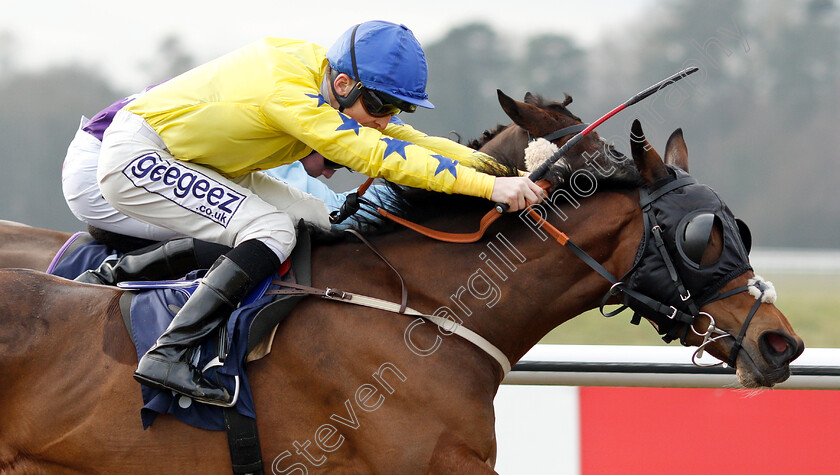 Collate-0006 
 COLLATE (David Probert) wins The Sun Racing Handicap
Lingfield 25 Jan 2019 - Pic Steven Cargill / Racingfotos.com