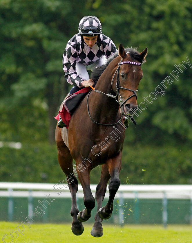 Go-Bears-Go-0001 
 GO BEARS GO (Rossa Ryan)
Haydock 21 May 2022 - Pic Steven Cargill / Racingfotos.com