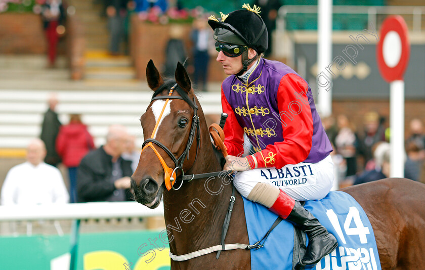 Silver-Screen 
 SILVER SCREEN (Adam Kirby)
Newmarket 8 Oct 2021 - Pic Steven Cargill / Racingfotos.com