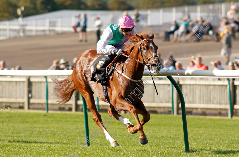 Boltaway-0005 
 BOLTAWAY (James Doyle) wins The Discover Newmarket Handicap
Newmarket 23 Sep 2021 - Pic Steven Cargill / Racingfotos.com