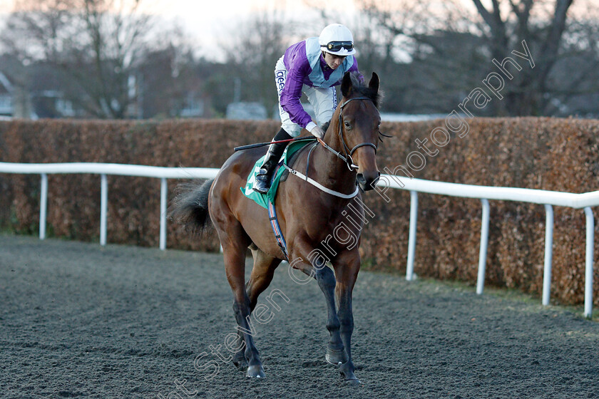 No-Nonsense-0001 
 NO NONSENSE (David Probert) winner of The Talksport Novice Stakes
Kempton 12 Dec 2018 - Pic Steven Cargill / Racingfotos.com