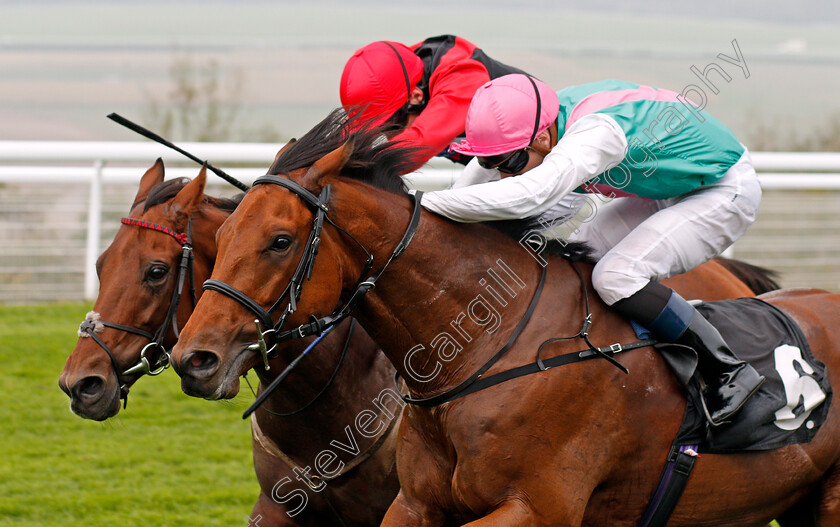 Monarchs-Glen-0006 
 MONARCHS GLEN (nearside, Robert Tart) beats WHAT ABOUT CARLO (left) in The EBF Stallions Foundation Stakes Goodwood 27 Sep 2017 - Pic Steven Cargill / Racingfotos.com