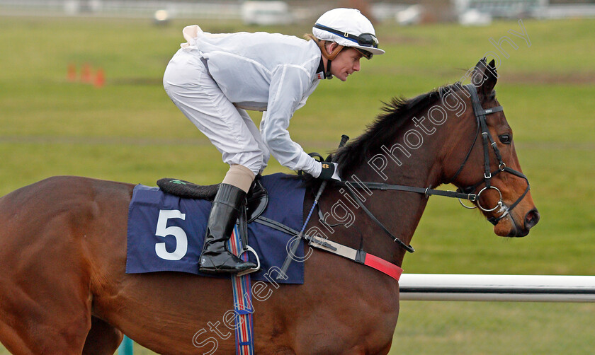 One-Night-Stand-0002 
 ONE NIGHT STAND (Kieran O'Neill)
Lingfield 5 Feb 2022 - Pic Steven Cargill / Racingfotos.com