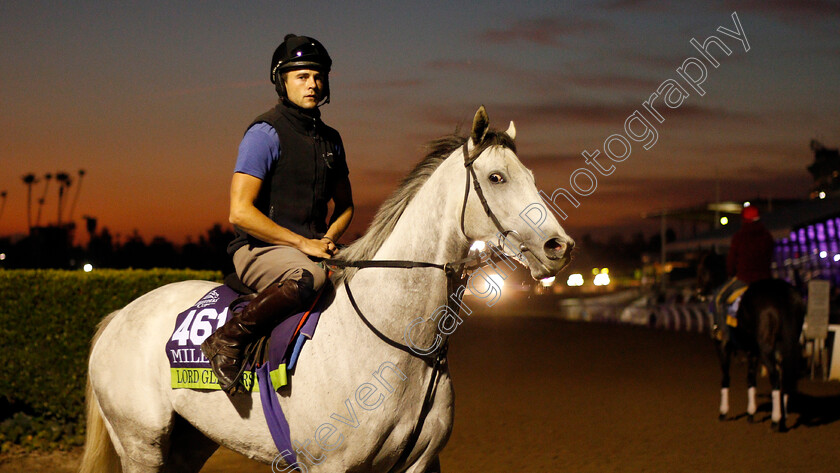 Lord-Glitters-0001 
 LORD GLITTERS training for the Breeders' Cup Mile
Santa Anita USA 30 Oct 2019 - Pic Steven Cargill / Racingfotos.com