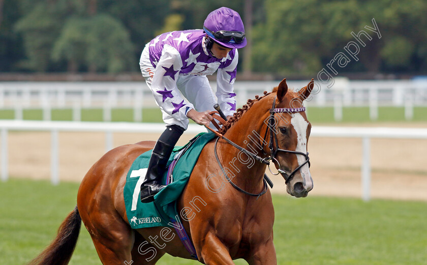 Omniqueen 
 OMNIQUEEN (Rossa Ryan)
Ascot 23 Jul 2022 - Pic Steven Cargill / Racingfotos.com