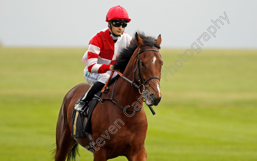 Haku-0002 
 HAKU (Stefano Cherchi)
Newmarket 29 Oct 2021 - Pic Steven Cargill / Racingfotos.com