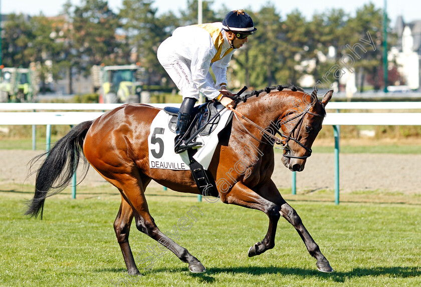 Kokachin-0002 
 KOKACHIN (Cristian Demuro)
Deauville 6 Aug 2022 - Pic Steven Cargill / Racingfotos.com