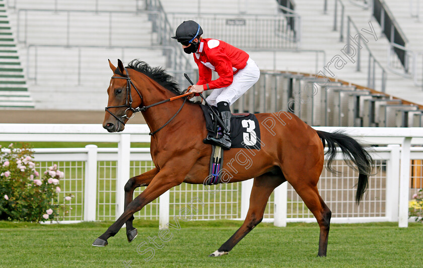 El-Patron-0001 
 EL PATRON (Thomas Greatrex) 
Ascot 25 Jul 2020 - Pic Steven Cargill / Racingfotos.com