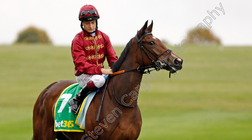 Mise-En-Scene 
 MISE EN SCENE (Cieren Fallon)
Newmarket 8 Oct 2021 - Pic Steven Cargill / Racingfotos.com