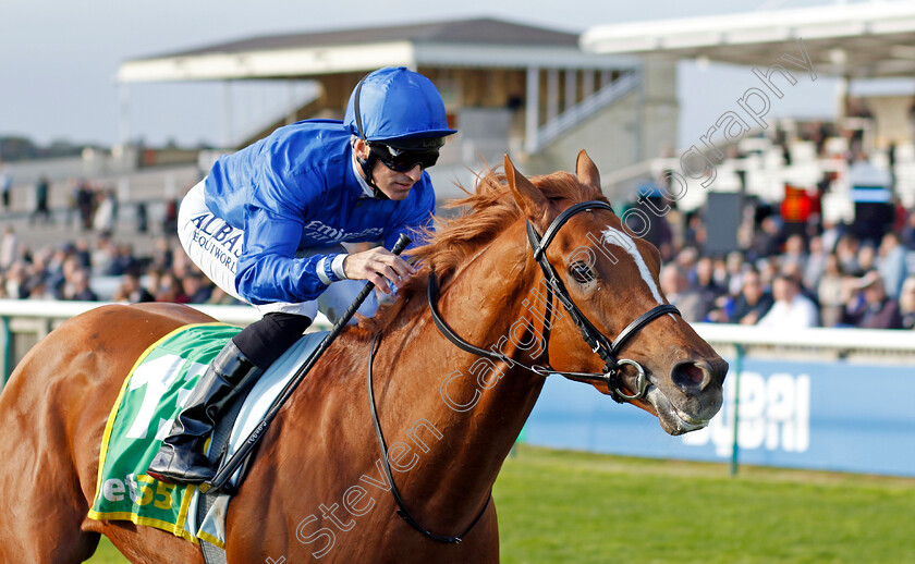 Al-Nafir-0001 
 AL NAFIR (Pat Dobbs) wins The bet365 Old Rowley Cup
Newmarket 7 Oct 2022 - Pic Steven Cargill / Racingfotos.com