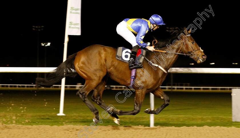 Aircraft-Carrier-0005 
 AIRCRAFT CARRIER (Martin Harley) wins The Betway Stayers Handicap
Wolverhampton 10 Dec 2018 - Pic Steven Cargill / Racingfotos.com