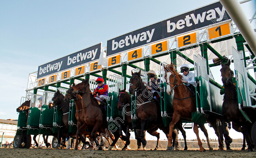 Winter-Derby-Start-0001 
 Horses break from the stalls for The Betway Winter Derby Stakes, R to L; CLEAR SKIES (Ryan Moore), UTMOST (Robert Havlin), KHALIDI (Adam Kirby), CONVEY (Joe Fanning) Lingfield 24 Feb 2018 - Pic Steven Cargill / Racingfotos.com