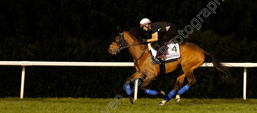 Trawlerman-0001 
 TRAWLERMAN training for the Dubai Gold Cup
Meydan, Dubai, 23 Mar 2023 - Pic Steven Cargill / Racingfotos.com