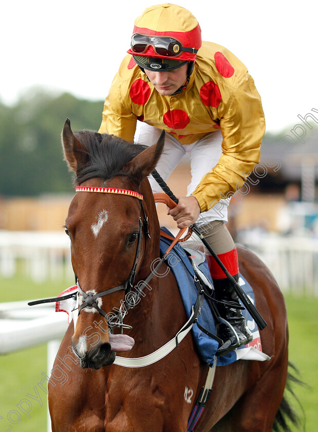 Gold-Mount-0001 
 GOLD MOUNT (Andrea Atzeni) before The Sky Bet Race To The Ebor Grand Cup
York 15 Jun 2019 - Pic Steven Cargill / Racingfotos.com