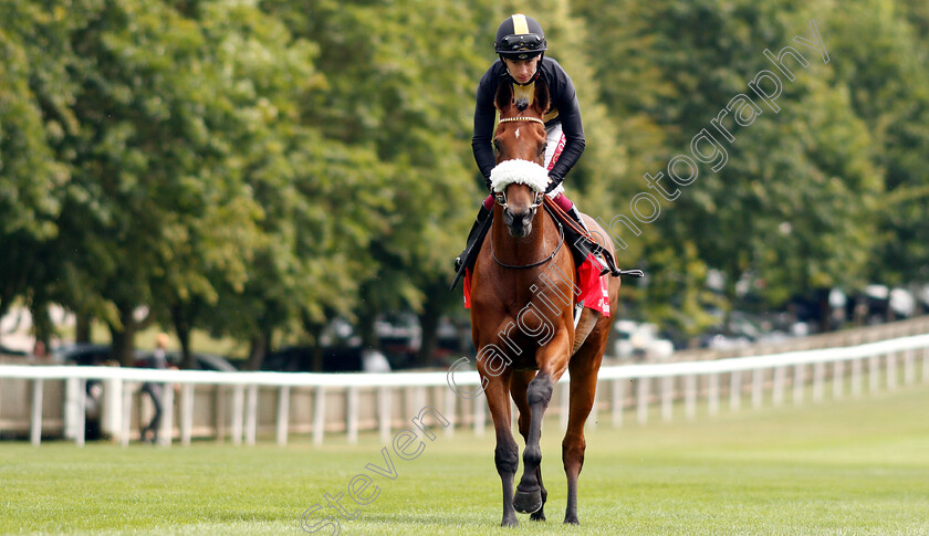 Ranch-Hand-0001 
 RANCH HAND (Oisin Murphy)
Newmarket 11 Jul 2019 - Pic Steven Cargill / Racingfotos.com