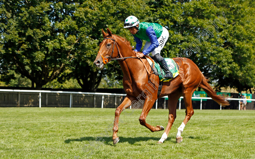 Isaac-Shelby-0001 
 ISAAC SHELBY (Sean Levey) winner of The bet365 Superlative Stakes
Newmarket 9 Jul 2022 - Pic Steven Cargill / Racingfotos.com